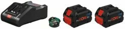 Bosch Bleu Accessoires 18 Volt 1600A016GP Pack 2 Batteries ProCORE18V 8.0Ah + Chargeur GAL 18V-160 C