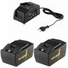 Rems 21,6 Volt 571592 Power-Pack 22V 9.0Ah Li-Ion 2 X Batterie + Chargeur